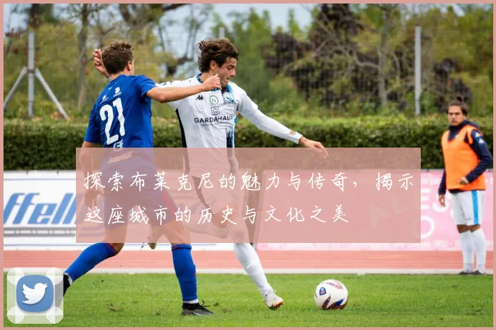 探索布莱克尼的魅力与传奇，揭示这座城市的历史与文化之美