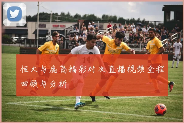 恒大与鹿岛精彩对决直播视频全程回顾与分析